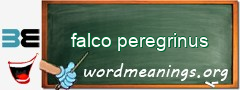 WordMeaning blackboard for falco peregrinus